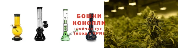 гидропоника Новозыбков