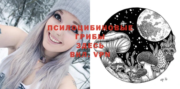гидропоника Новозыбков