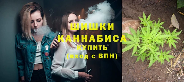 дживик Всеволожск