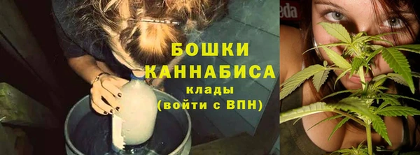 гидропоника Новозыбков