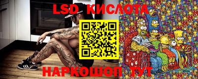 стаф Бузулук