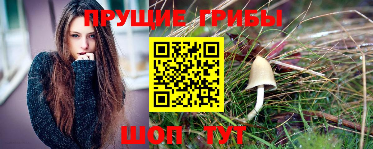 Галлюциногенные грибы мицелий Таганрог