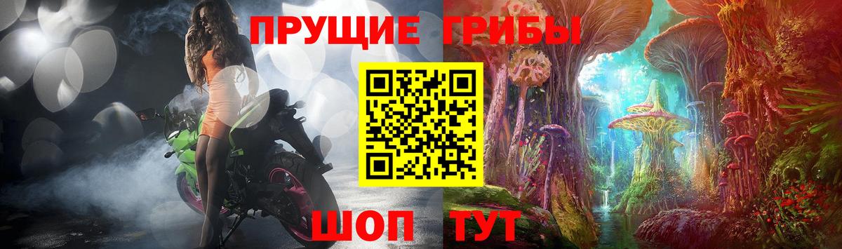 Галлюциногенные грибы Cubensis  Псилоцибиновые грибы Cubensis  Вход с VPN  Таганрог 